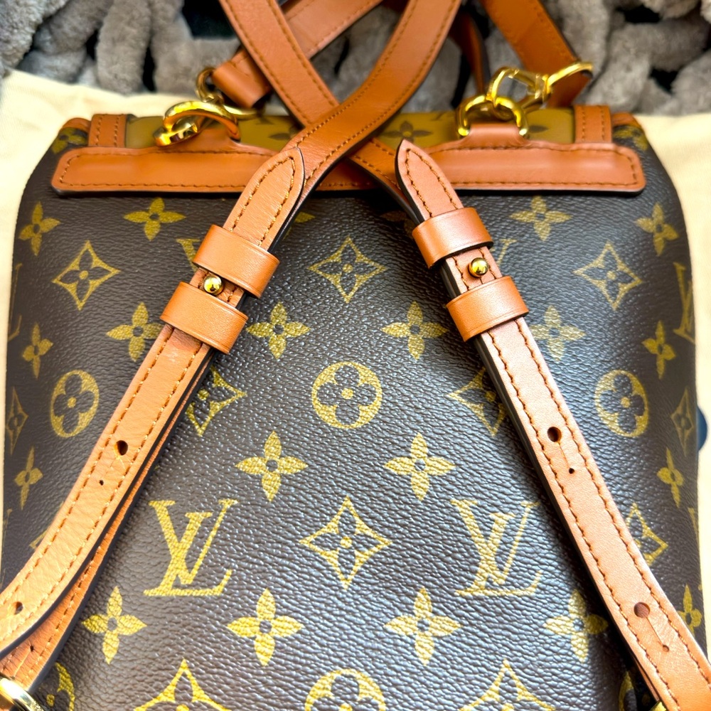 LV Dauphine Reverse Monogram Backpack - Picture 11 of 16
